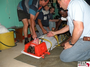 Brandweer 2012.JPG